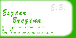 eszter brezina business card